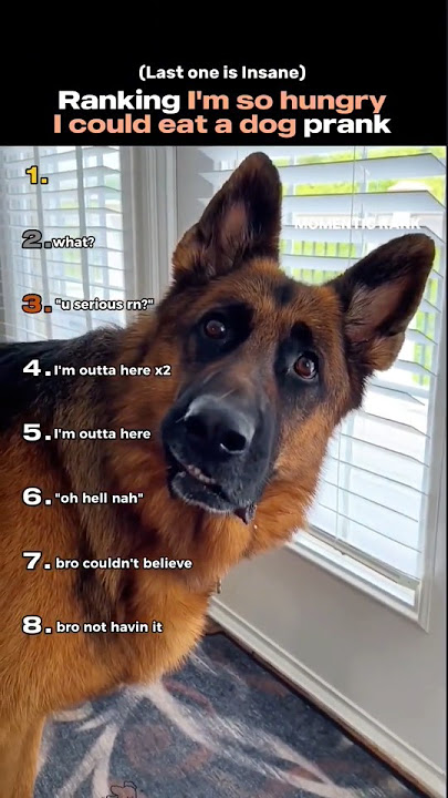 Ranking I'm so hungry I could eat a dog prank