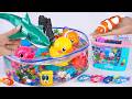 [Toy asmr] RC Dolphin &amp; RC Shark &amp; Zuru Robo Nemo &amp; Harp's Aquarium ASMR Satisfying with Unboxing