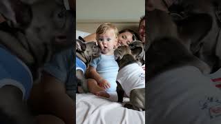 The Babys Shocked Face At The Whirlwind Of The Dogs Games