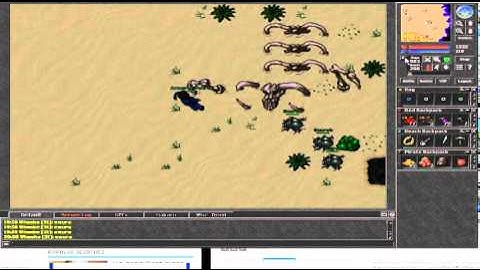 Tibia Bot Kill in Non PvP #5