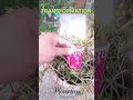 TRANSFORMATION!! #trending #trendingshorts #shortsfeed #shorts #diy #craft #viral #song #moonology