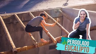 Fiz um pergolado lindo com eucalipto