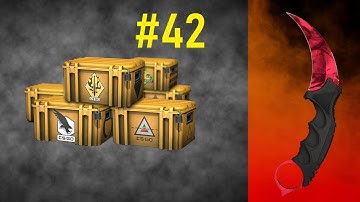 Opening 1 Case Everyday Until I Get a Knife #42