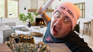 SPIDER KILLING SIMULATOR screenshot 5