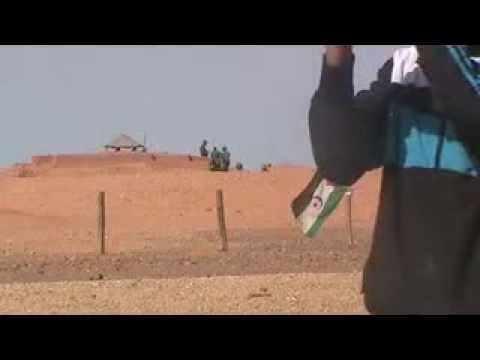 بالفيديو جانب من الوقفة السلمية امام جدار العار المغربي الذي يقسم الصحراء الغربية 2