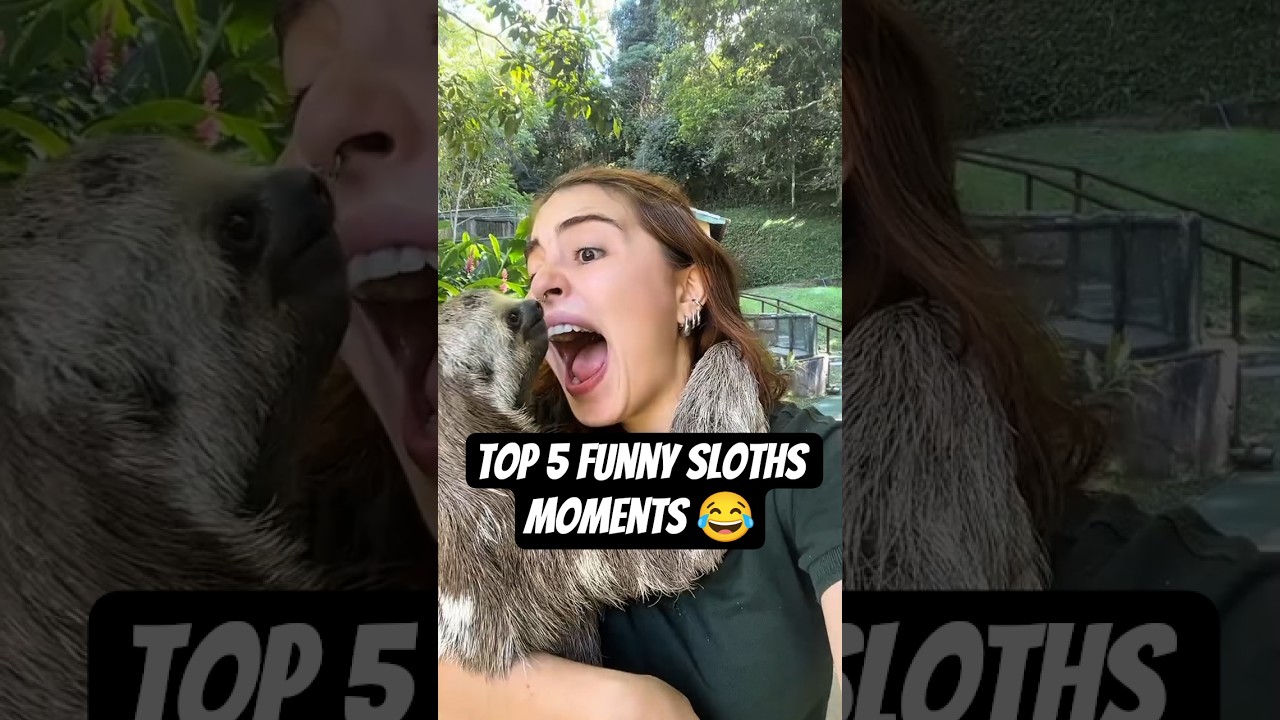 Смешные моменты лени 