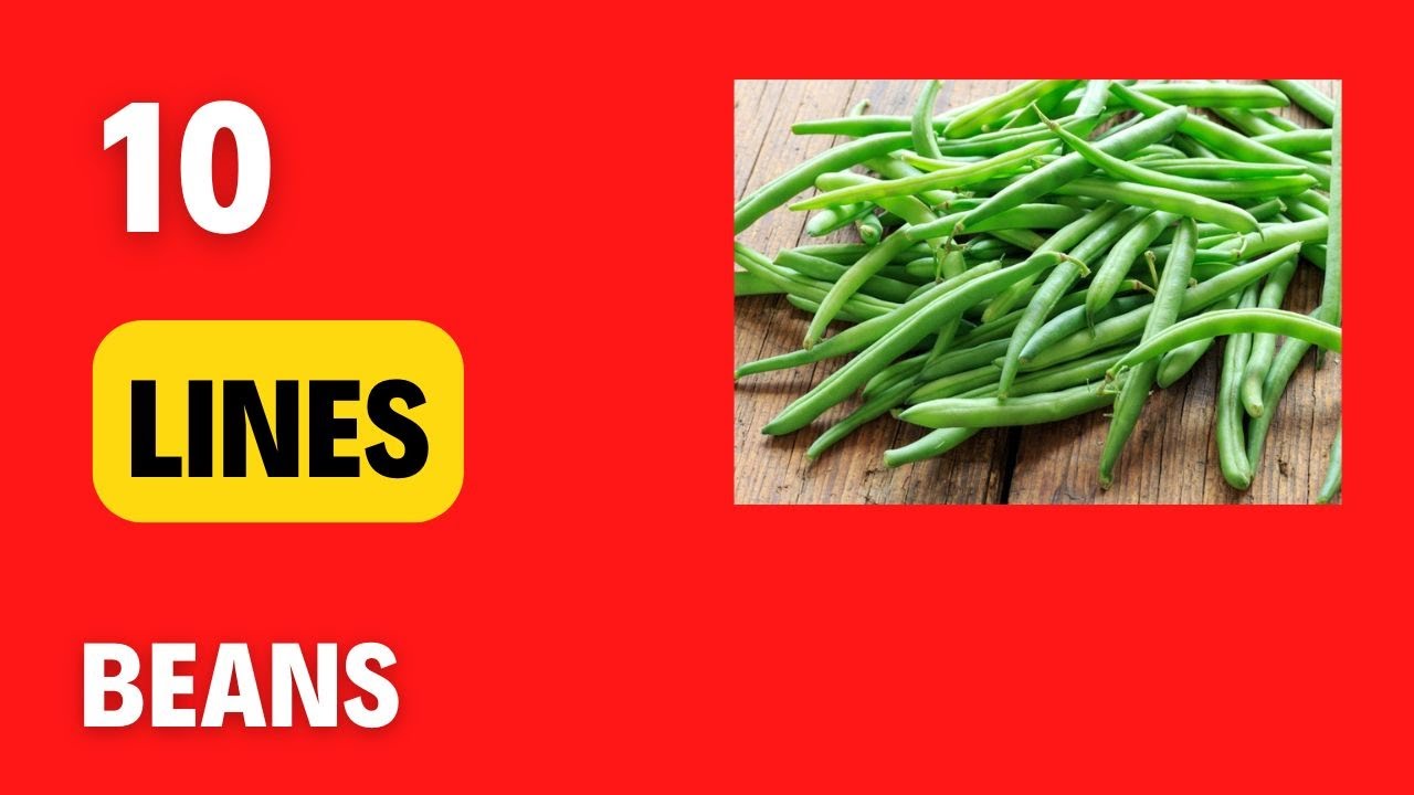Line Beans 10 lines on Beans - YouTube
