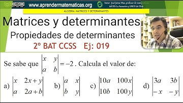 Propiedades de los determinantes. 2bat ccss2 02 19. José Jaime Mas