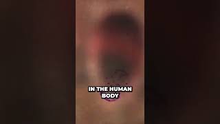 SHOCKING Truth About Parasites - Top Reason You Always Fall Sick #shorts