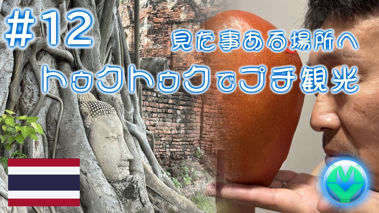 旅Vlog.タイ編#12 【続アユタヤへ向かう】トゥクトゥクでプチ観光