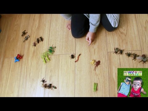 24 Insetti Giocattolo Realistici Per Bambini, Set Educativo Con Ragno, Mantide, Scorpione, Per Feste E Didattica, 4,5-45 Cm - 2