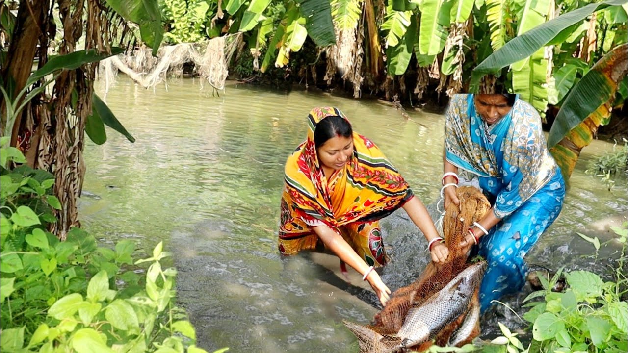 amazing net fishing !! পুকুরের জ্যান্ত মাছ আর লাউশাক দিয়ে স্বাস্থ্যকর ঝোল রেসিপি||fish curry recipe