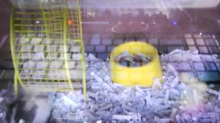 Capture 20090725