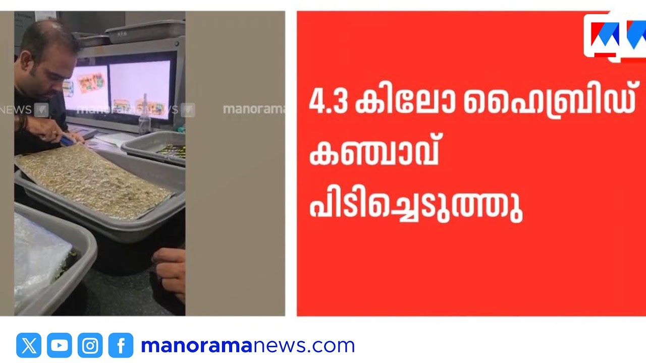 പുതുവല്‍സരം ലക്ഷ്യം; 4.3 കോടിയുടെ ഹൈബ്രിഡ് കഞ്ചാവ് പിടികൂടി | Nedumbassery Airport Drug Bust