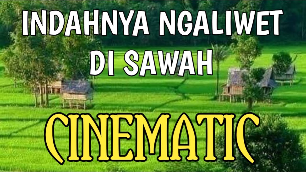 Makan di Sawah Perkampungan || CINEMATIC 