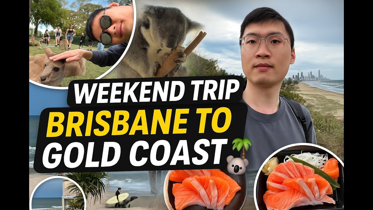 The Most Relaxing Weekend in Australia 🇦🇺 Brisbane & Gold Coast Vlog 🐨☀️ 布里斯班&黄金海岸两日游｜考拉、海滩、落日都太治愈了😭