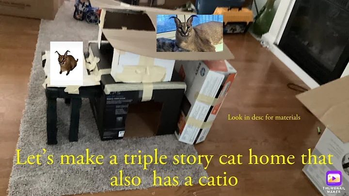 How to make a triple story cat home that has a caito