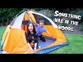 We Went Camping In Our Backyard *but there was something in the woods...