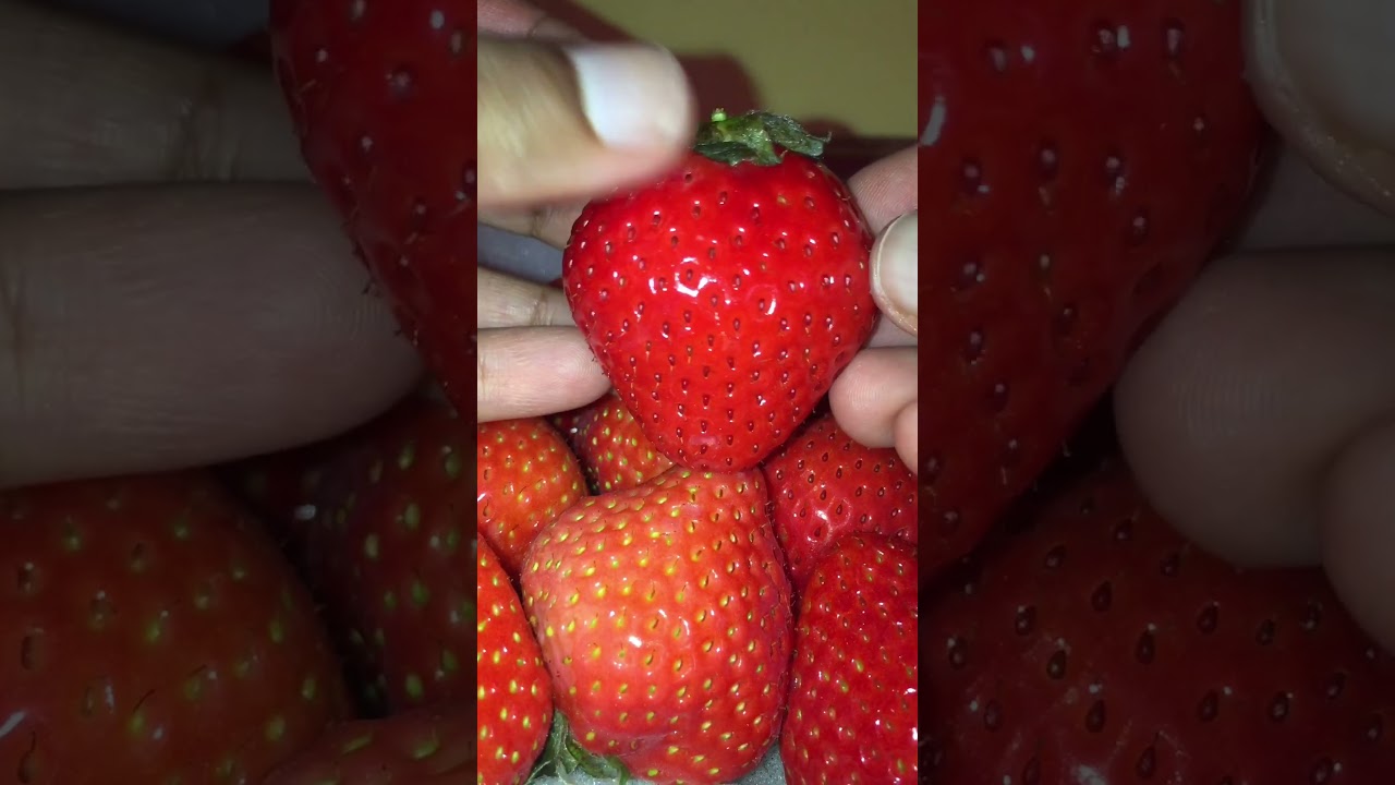 Premium Japanese Strawberry