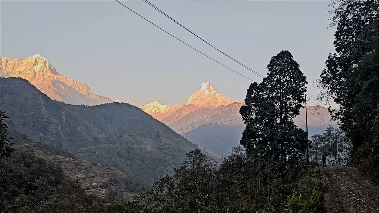 Enjoy the nature 🌳🍃 