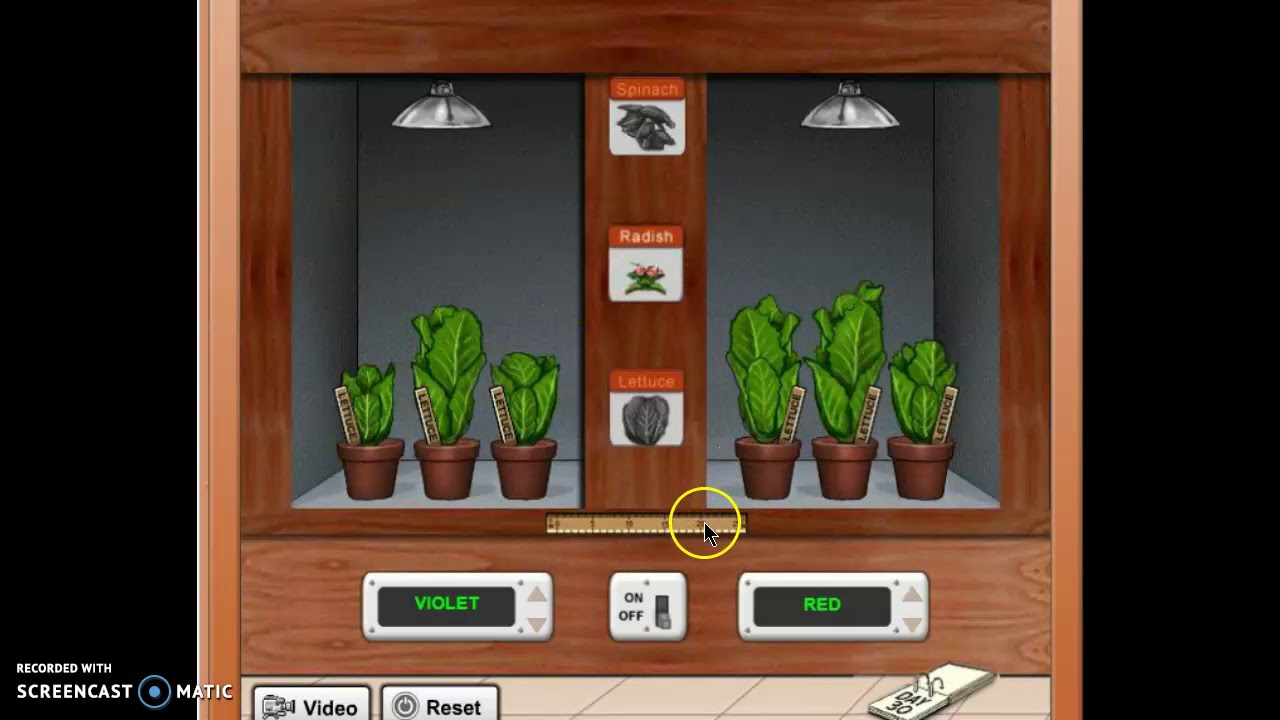 LED مشاكل تقنية وحلولها - الزراعة الحضرية