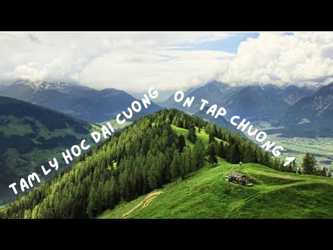 Tâm lý học đại cương - ￼Ôn tập chương 1 - Những vấn đề chung của tâm lý học - Đỗ Minh Thy - USSH ￼ - youtube