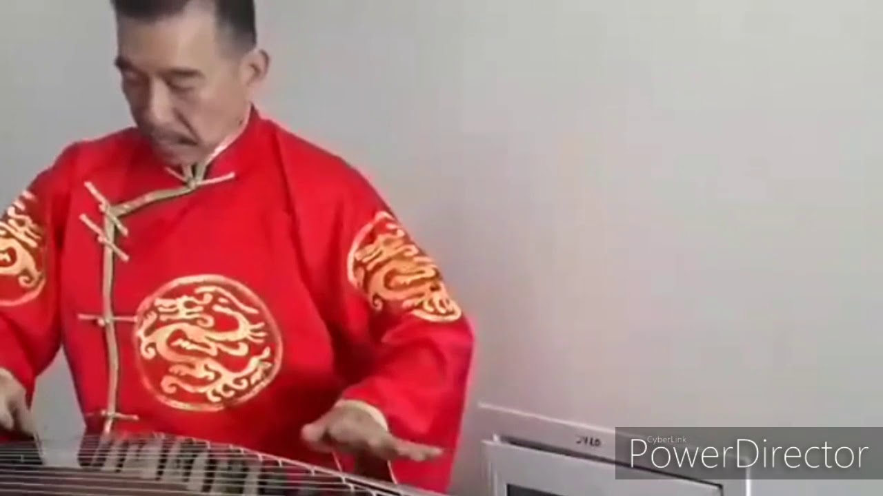 Gu Zheng Musician 