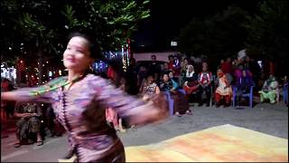 Deusi Bhailo Dance -२०७६ | Dindinai bhetnalai aaudina | student programme | Nachideu fanakka ghumera