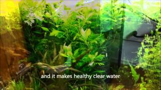 BEST Eheim Filter EVER?? - The 2227 Wet and Dry Canister Filter