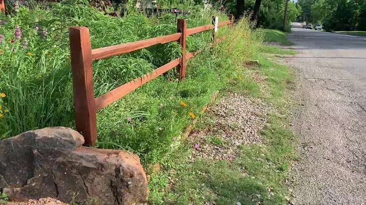 A walk through of my Front Yard Garden