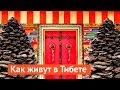 Как живут простые люди в Тибете