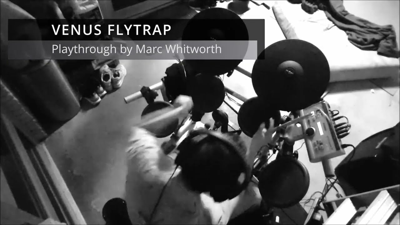 Inevitable Decline? Venus Flytrap *drum playthrough