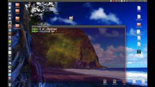 How to extract tar.bz2 files [Linux Terminal]