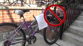 UD Campus Safety Introduction & Traffic Safety