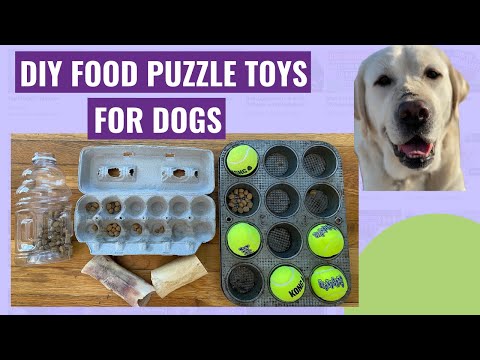 Video: DIY Tennis Ball Teaser Treat Toy!