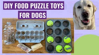 DIY Brain Games for Dogs! Homemade Food Puzzle Toys