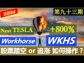 第九十三期：Workhorse - WKHS -- TESLA 2.0  --- 股票踏空 or 追涨 如何操作？