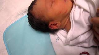 Metallica Jewel Macabeo