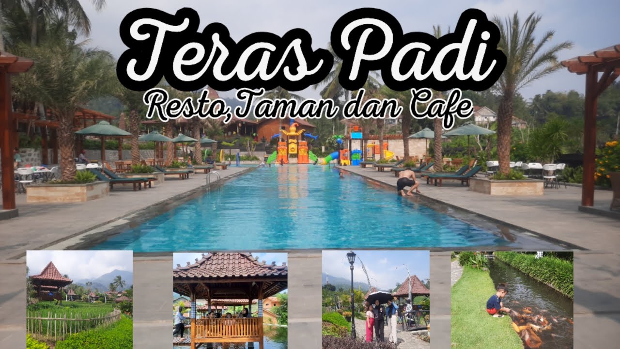 Teras Padi, Resto Taman dan Cafe Estetik di Paguyangan Brebes