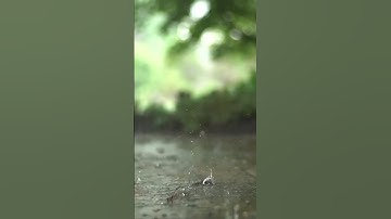 إن الابرار لفي نعيم/القارئ براء الفقيه مقام الحجاز#ياسر_الدوسري #القرءان_الكريم