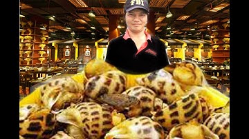 CỐ TÌM ĂN MÓN ĐẶC SẢN ỐC HƯƠNG XÀO TRỨNG NHÀ HÀNG HẢI SẢN