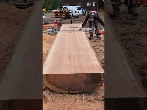 #tool #woodcut #carpentry #cutting #wood #cuttingwood #machinary #toolsmachine