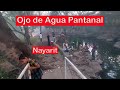 Ojo de agua Pantanal, Xalisco, un lugar poco conocido para visitar y comer en Nayarit