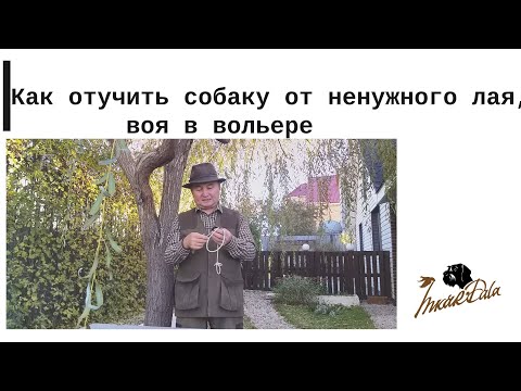 Как отучить собаку от ненужного лая, воя, скуления в вольере.