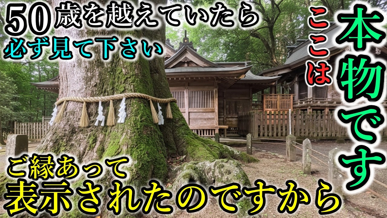 ※50歳以上なら必ずご覧下さい⚠️九州最強パワースポット！高千穂の神の杜【宮崎県西臼杵郡高千穂町下野 下野八幡宮】