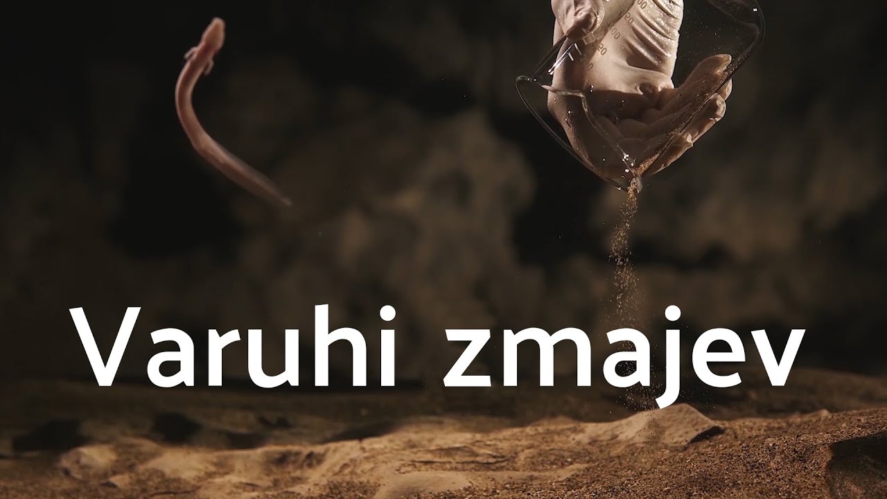 SLAVNI MLADIČKI IZ POSTOJNSKE JAME KONČNO NA OGLED!