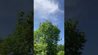 IMG 5929 #自分の使命 #nature。天体現象。3次元地球世界の消えて往く姿。消えて往く姿で世界の平和を祈ります。私達の次元上昇。美しい光。