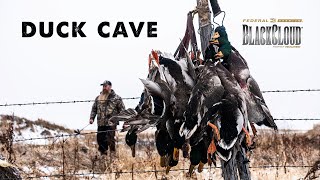 The Duck Cave | Dr. Duck is Back | Black Cloud