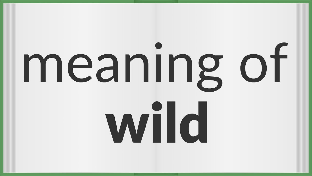 Wild Meaning 