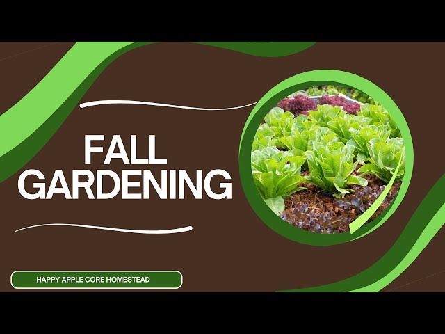 zz plant humidity ZZ Plant | Zamioculcas Zamiifolia | Care Guide and Pro Tips